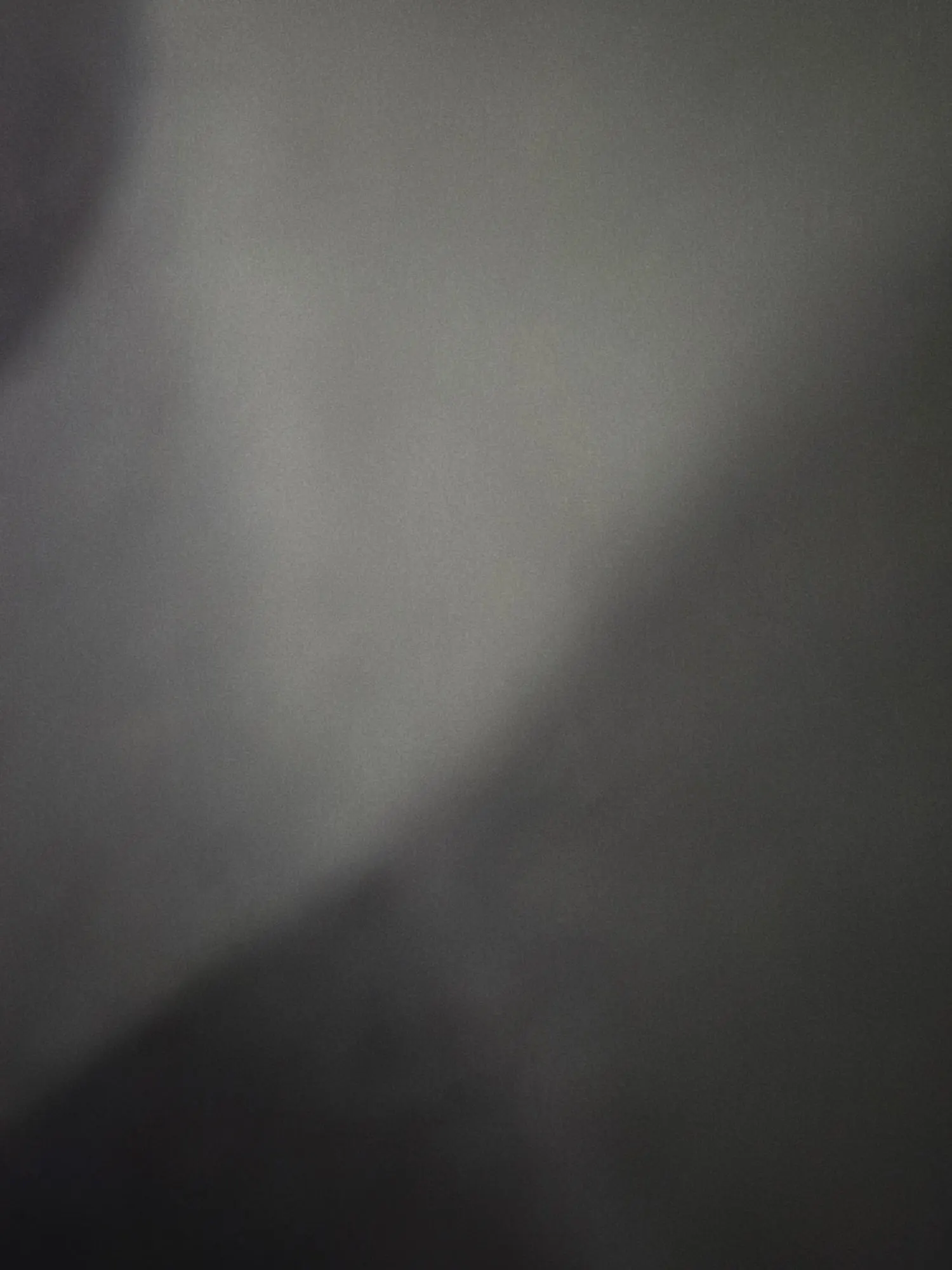 Foto de un comprador: Bastón ortopédico ajustable de aluminio, de 75 a 90 cm