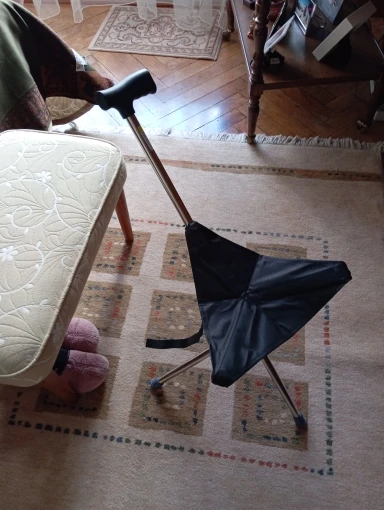 Foto de un comprador: BastÃ³n plegable con asiento portÃ¡til para descansar