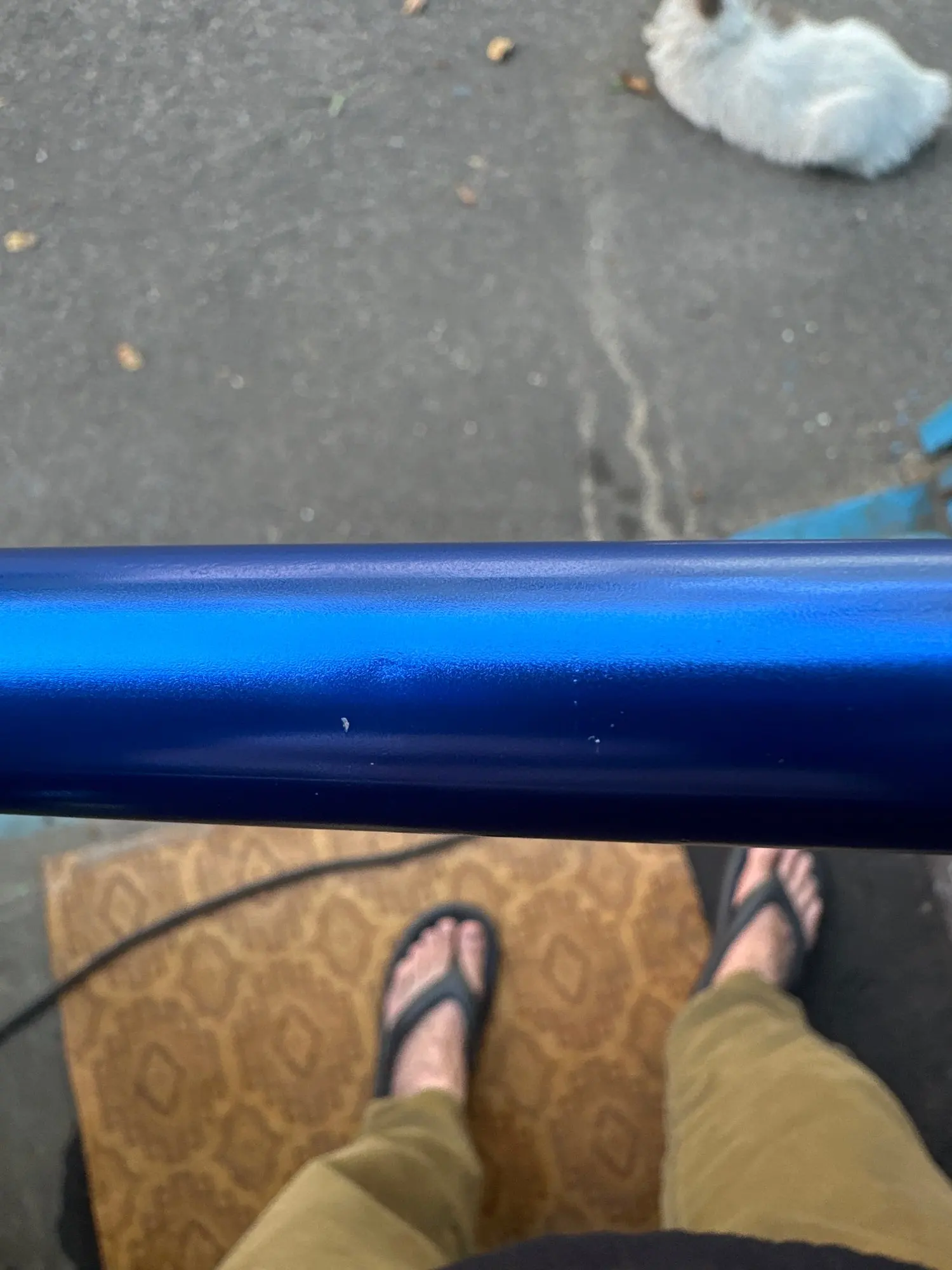 Foto de un comprador: Bastón plegable de aluminio de 5 niveles con dragonera