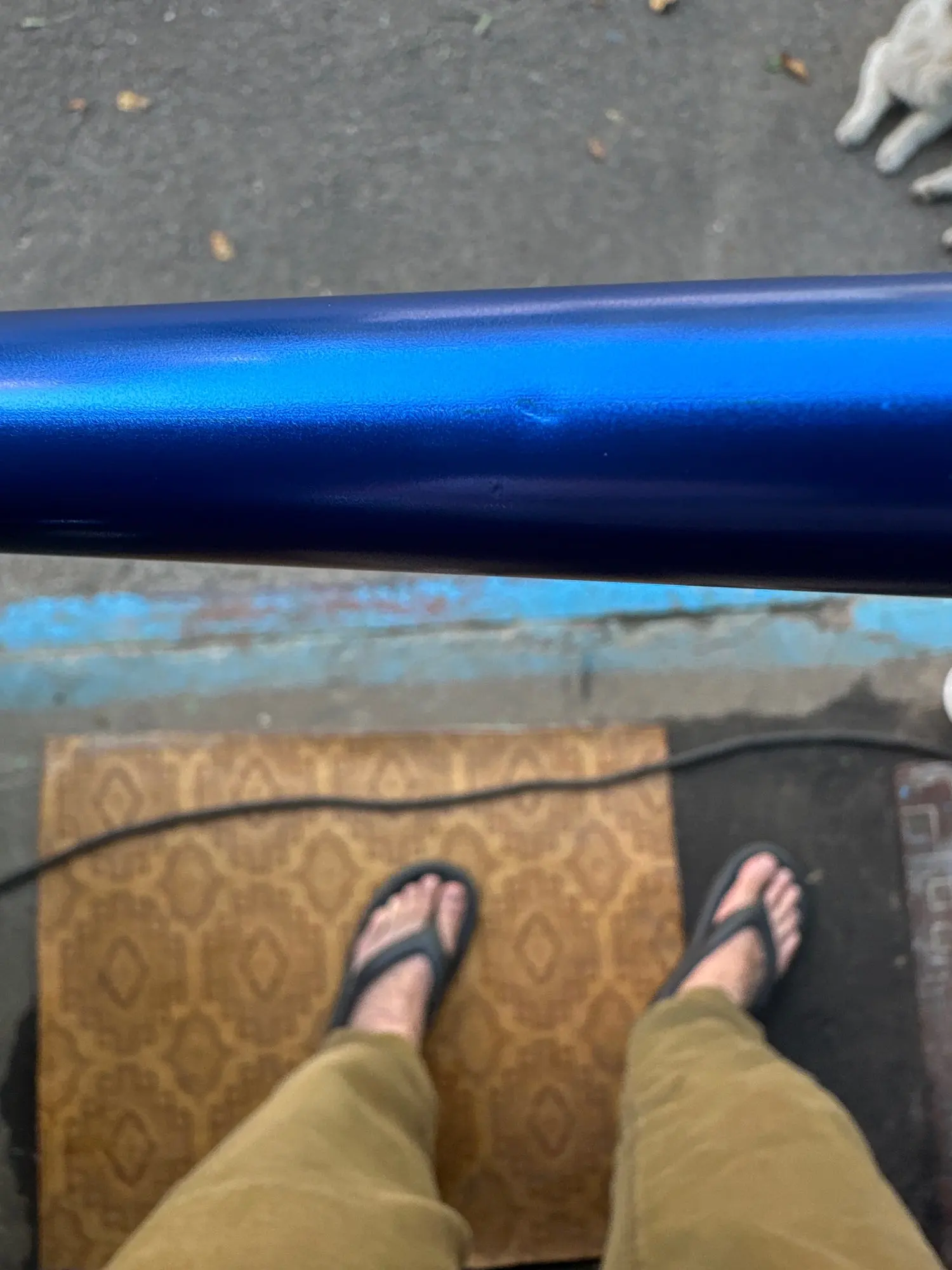 Foto de un comprador: Bastón plegable de aluminio de 5 niveles con dragonera