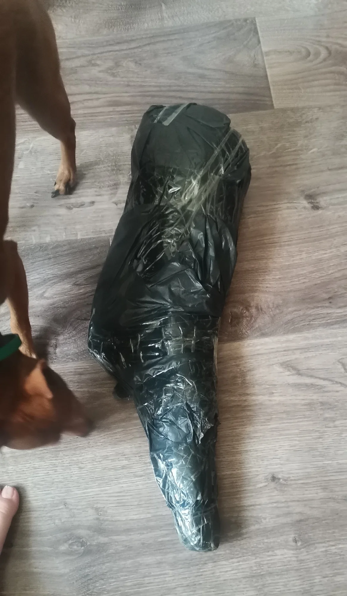 Foto de un comprador: Muletas de antebrazo ajustables y ligeras de 92 a 117 cm